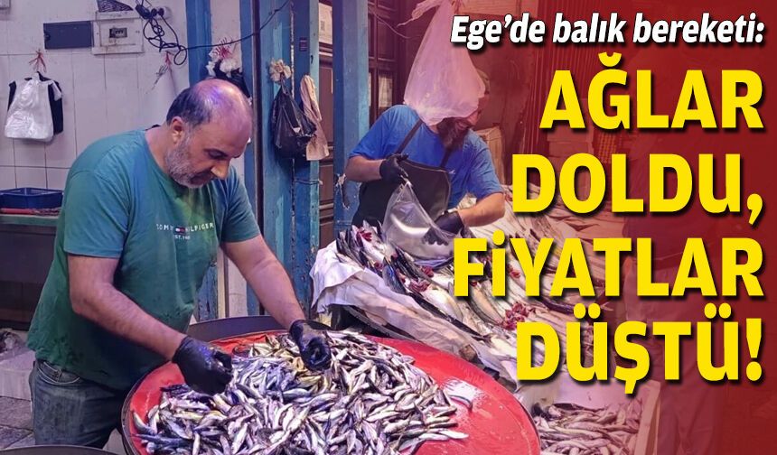 Ege’de balık bereketi: Ağlar doldu, fiyatlar düştü!