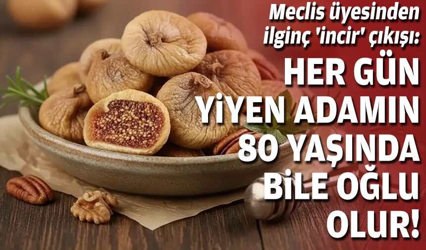 Meclis üyesinden ilginç 'incir' çıkışı: Her gün yiyen adamın 80 yaşında bile oğlu olur!