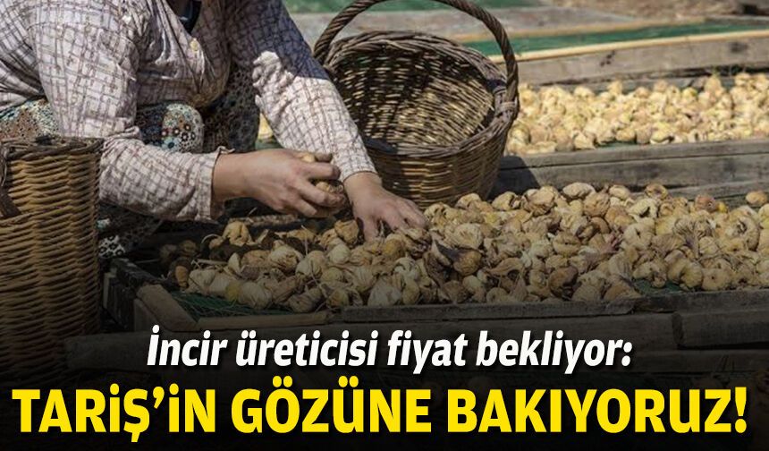 İncir üreticisi fiyat bekliyor: “TARİŞ’in gözüne bakıyoruz”
