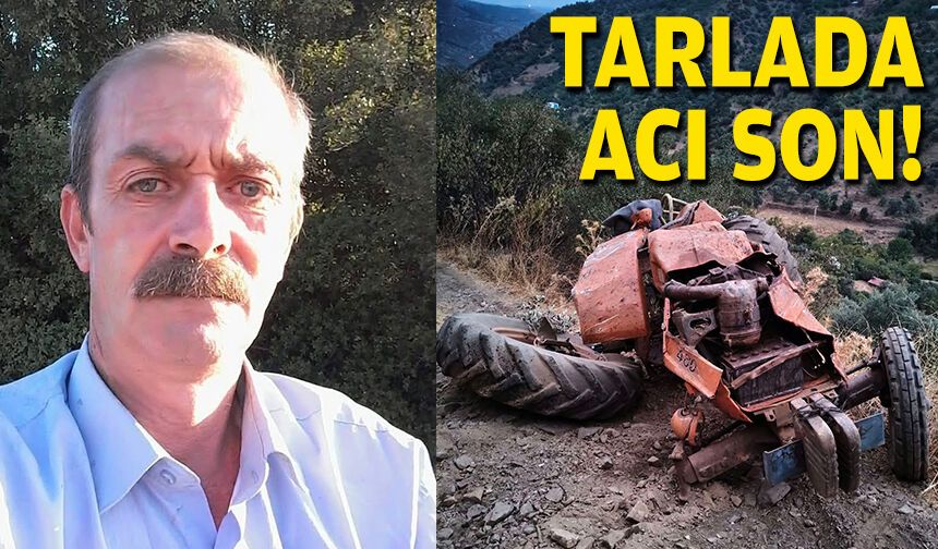 İncir tarlasında acı son!