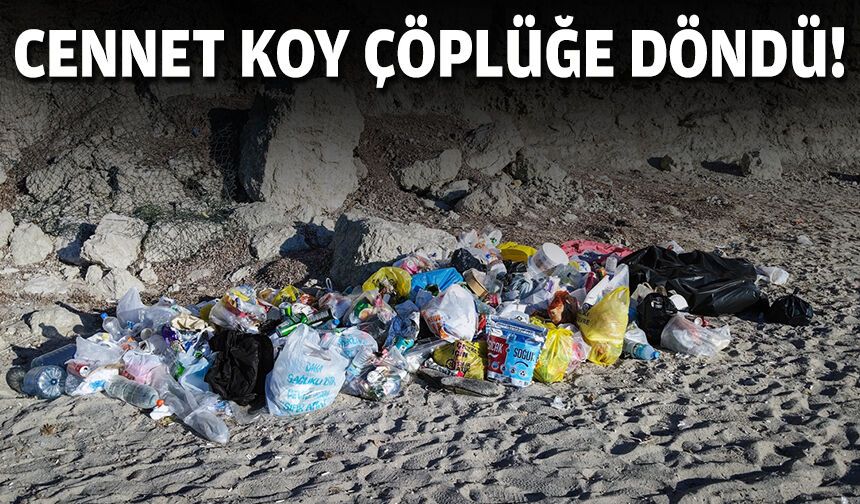 Cennet koy çöplüğe döndü!