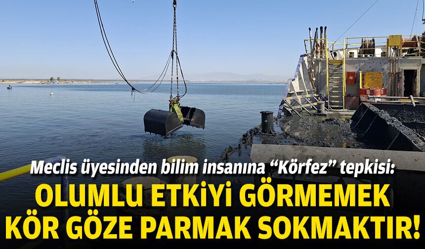 Meclis üyesinden bilim insanına “Körfez” tepkisi: Olumlu etkiyi görmemek kör göze parmak sokmaktır!