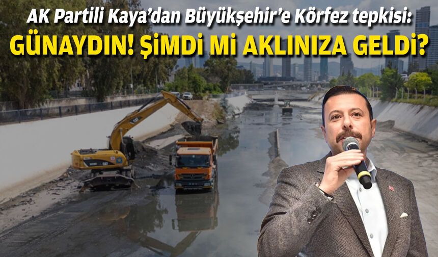 AK Partili Kaya’dan Büyükşehir’e Körfez tepkisi: Günaydın! Şimdi mi aklınıza geldi?