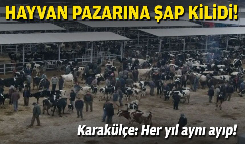 İzmir’de hayvan pazarına şap kilidi... 'Her yıl aynı ayıp!'