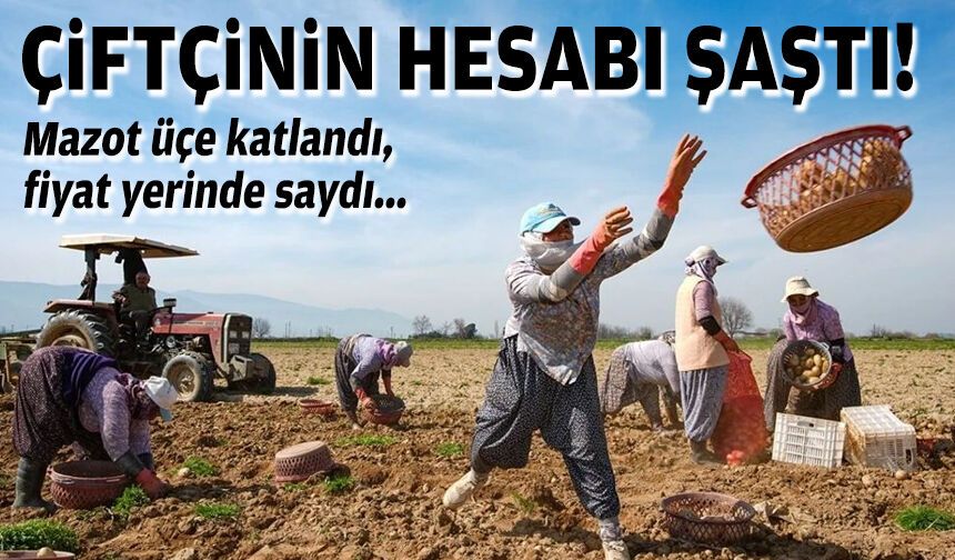 Çiftçinin hesabı şaştı: Mazot üçe katlandı, tarlada fiyat yerinde saydı!