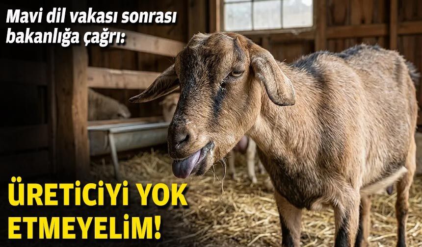 Mavi dil vakası sonrası bakanlığa çağrı: Üreticiyi yok etmeyelim!