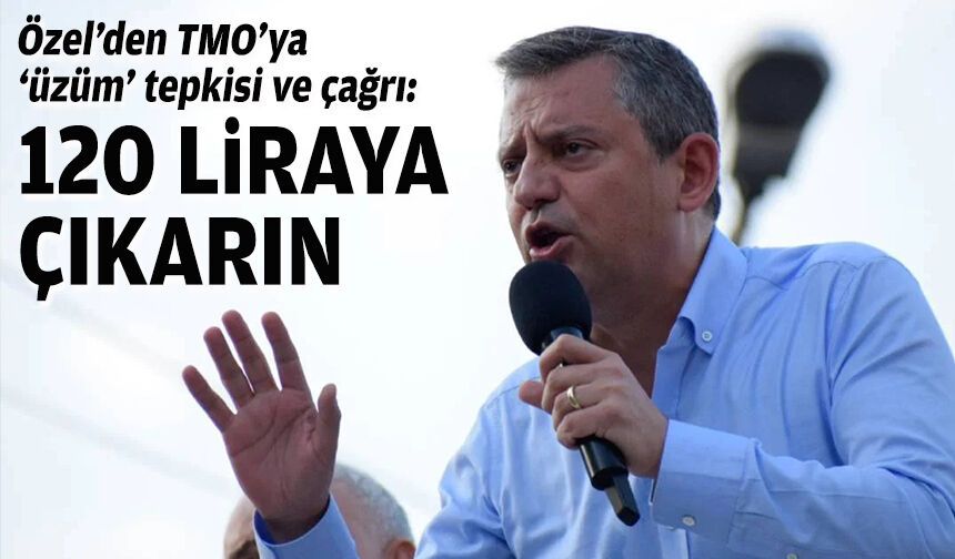 Özel’den TMO’ya ‘üzüm’ tepkisi ve çağrı: 120 liraya çıkarın