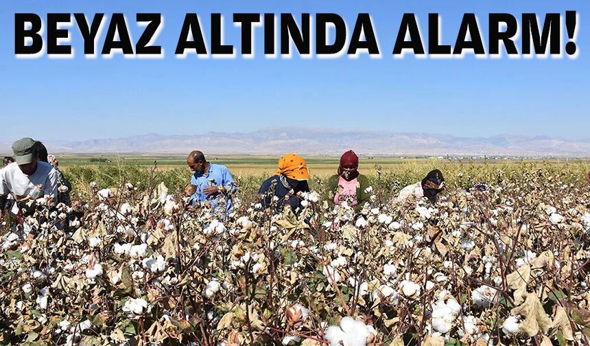 Beyaz altında alarm!