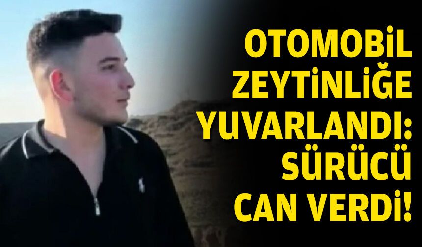 Zeytinliğe yuvarlanan otomobilin sürücüsü öldü
