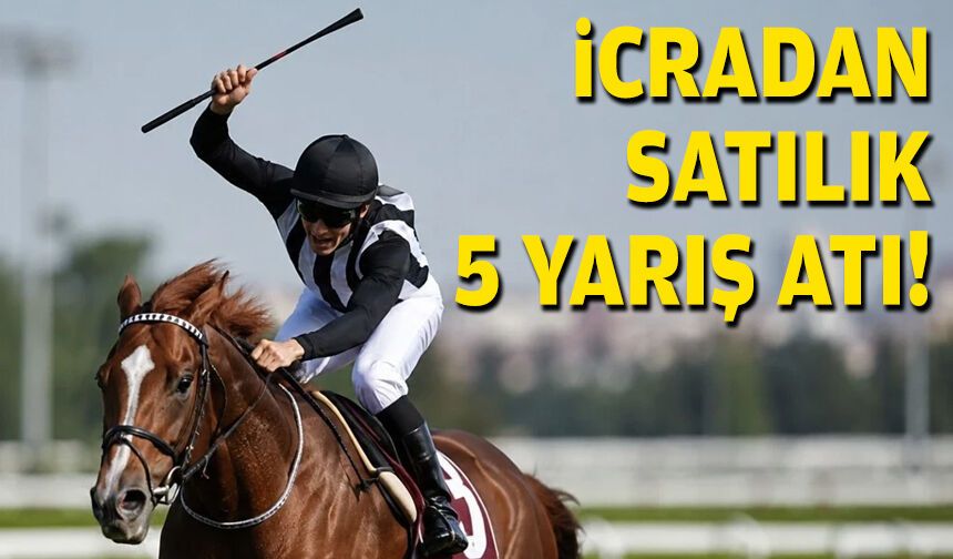 İcradan satılık 5 yarış atı!