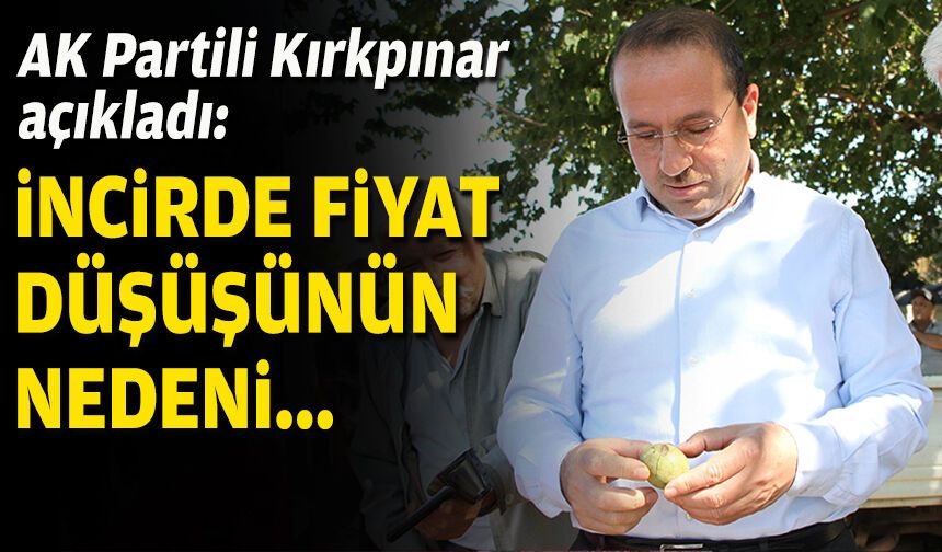 AK Partili Kırkpınar açıkladı: İncirde fiyat düşüşünün nedeni...