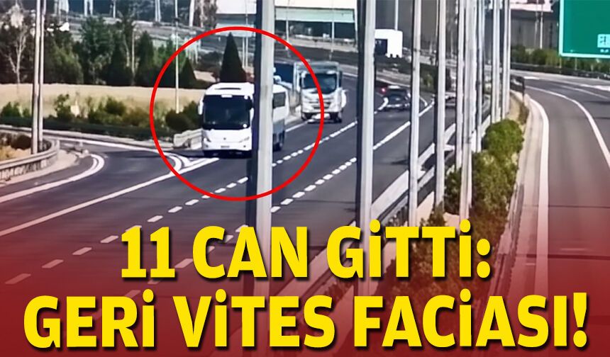 11 can gitti: Geri vites faciası!