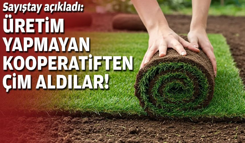 Sayıştay açıkladı: Üretim yapmayan kooperatiften çim aldılar!
