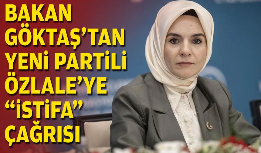 Bakan Göktaş'tan YENİ Partili Özlale'ye "istifa" çağrısı