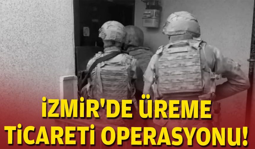 İzmir'de üreme ticareti operasyonu!