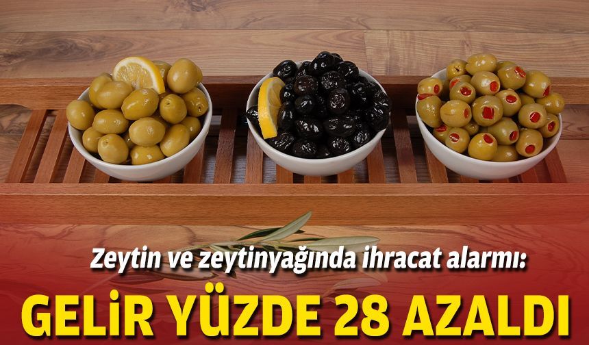 Zeytin ve zeytinyağında ihracat alarmı: Gelir yüzde 28 azaldı