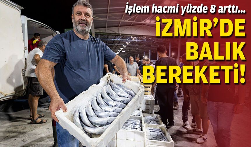 İşlem hacmi yüzde 8 arttı... İzmir’de balık bereketi!