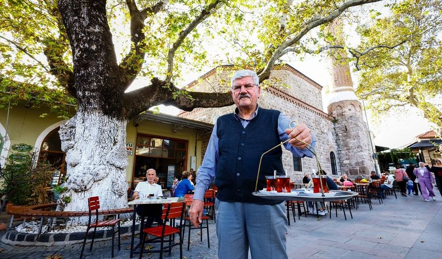 4 asırlık çınar, yarım asırlık kahve