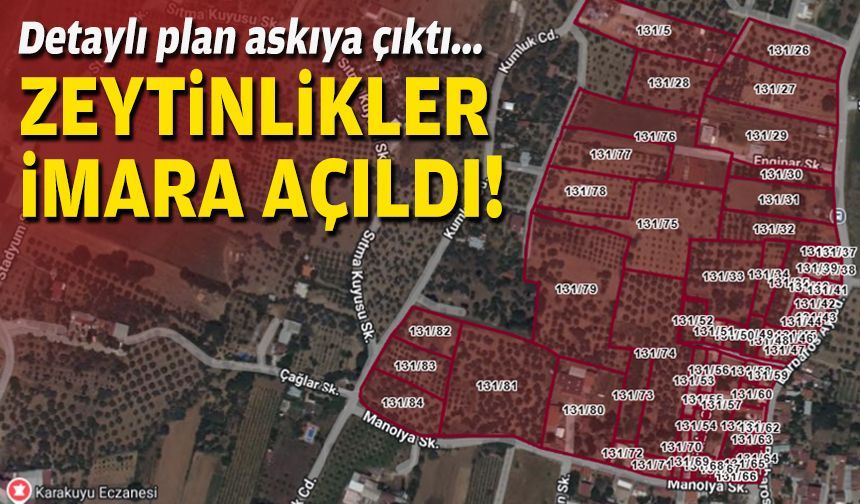 Askıya çıktı... Zeytinlikler imara açıldı!