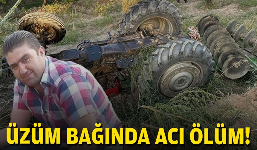 Üzüm bağında acı ölüm!