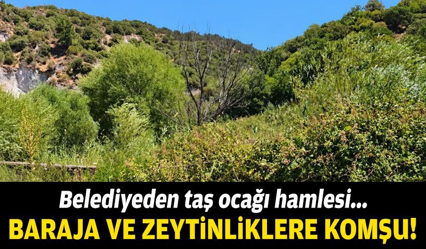 Belediyeden taş ocağı hamlesi... Zeytinliklere ve baraja komşu!