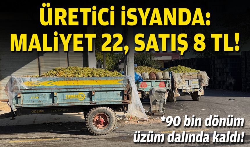Üretici isyan etti: Maliyet 22, satış 8 TL!