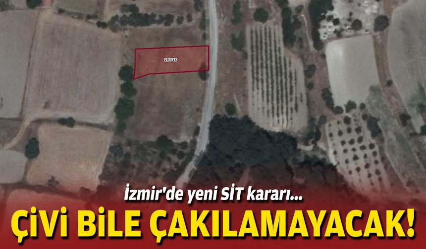 İzmir'de yeni SİT kararı... Çivi bile çakılamayacak!