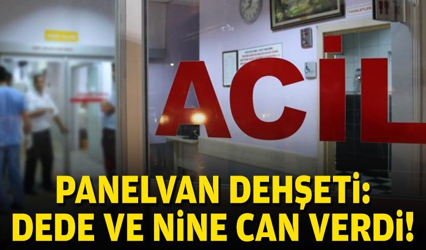 Panelvan dehşeti: Dede ve nine can verdi!
