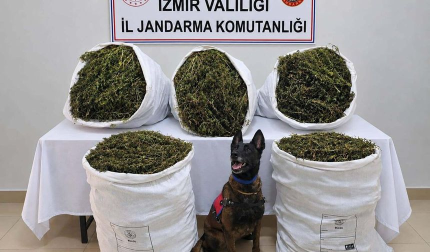 İzmir'de 'zehir' operasyonu: Tutuklamalar var!