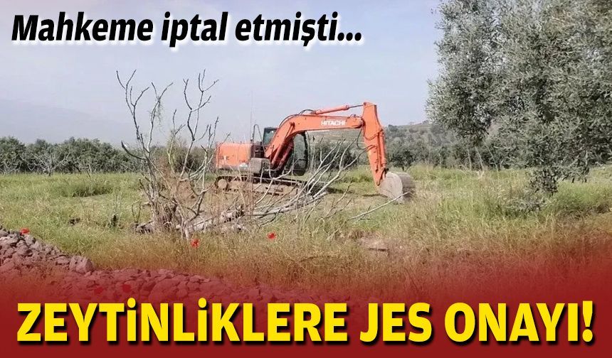 Mahkeme iptal etmişti... Zeytinliklere JES onayı!
