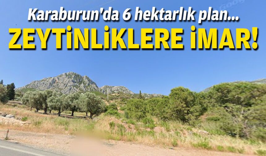 Karaburun'da 6 hektarlık plan... Zeytinlikler imara açıldı!