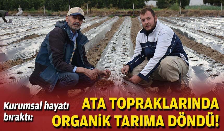 Kurumsal hayatı bıraktı, ata topraklarında organik tarıma döndü!