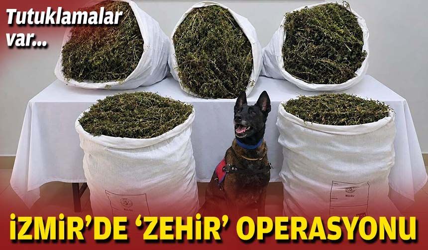 İzmir'de 'zehir' operasyonu: Tutuklamalar var!