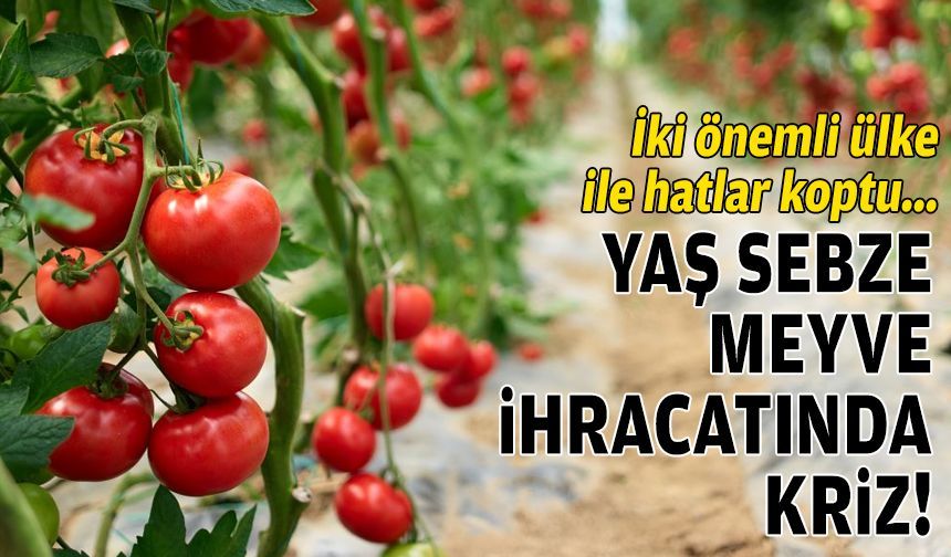 İki önemli ülkeyle hatlar koptu: Yaş meyve sebze ihracatında kriz!