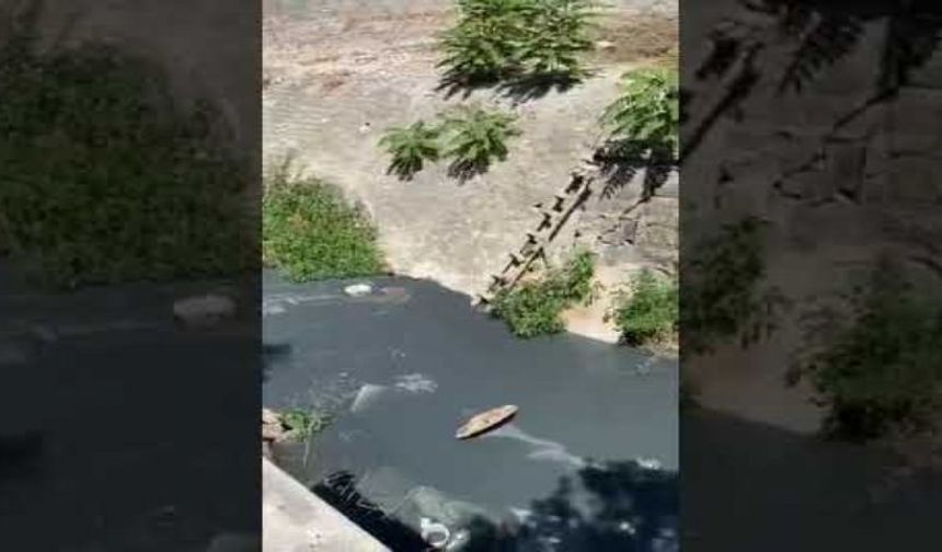 AK Partili Kaya'dan Soyer'e 'koku' tepkisi: Sevsinler sizin çevreciliğinizi!