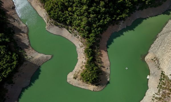 İzmir huzur merkezi: Balçova Terapi Ormanı