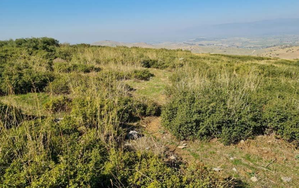 Ekran Görüntüsü 2025 01 31 221401