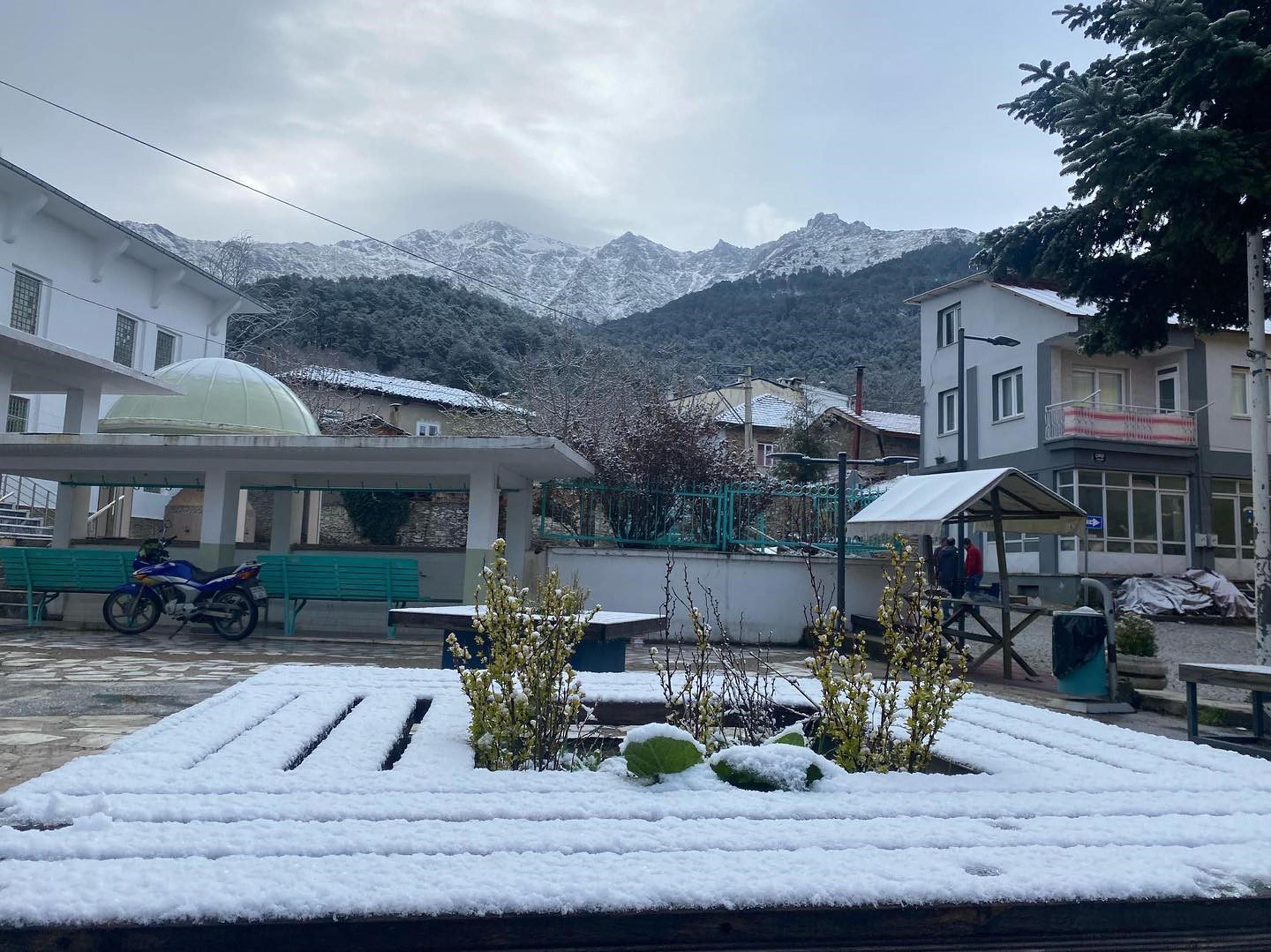 I Z M I R D E B A H A R O R T A S I N D A K A R S U R P R I Z I O 653496 193635