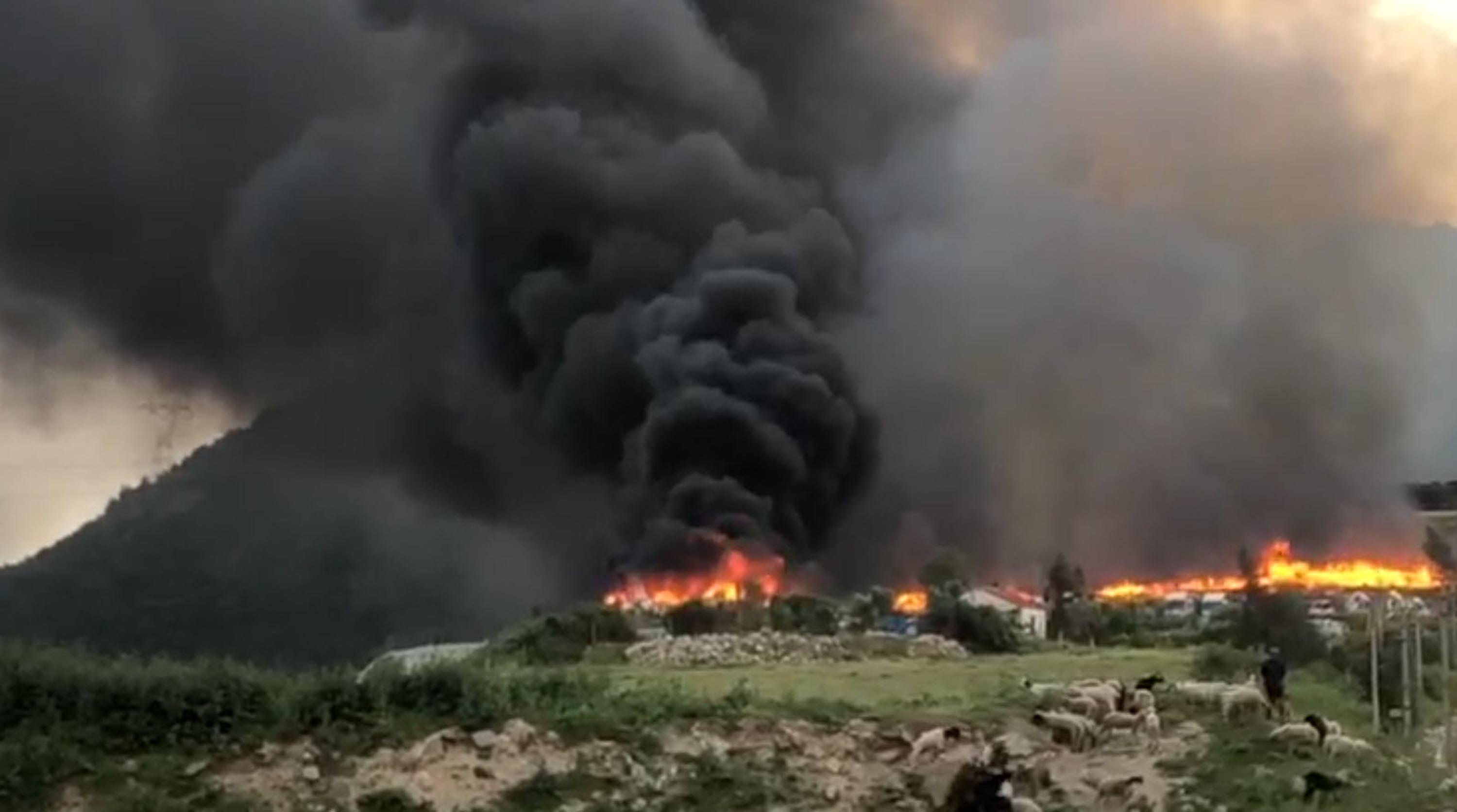 I Z M I R’ D E K A C A K D O K U M S A H A S I N D A Y A N G I N 684363 202677