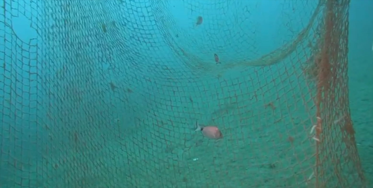 A A 20250512 37921198 37921197 I Z M I R K A R A B U R U N D A D E N I Z D E N 15 T O N H A Y A L E T A G C I K A R I L D I