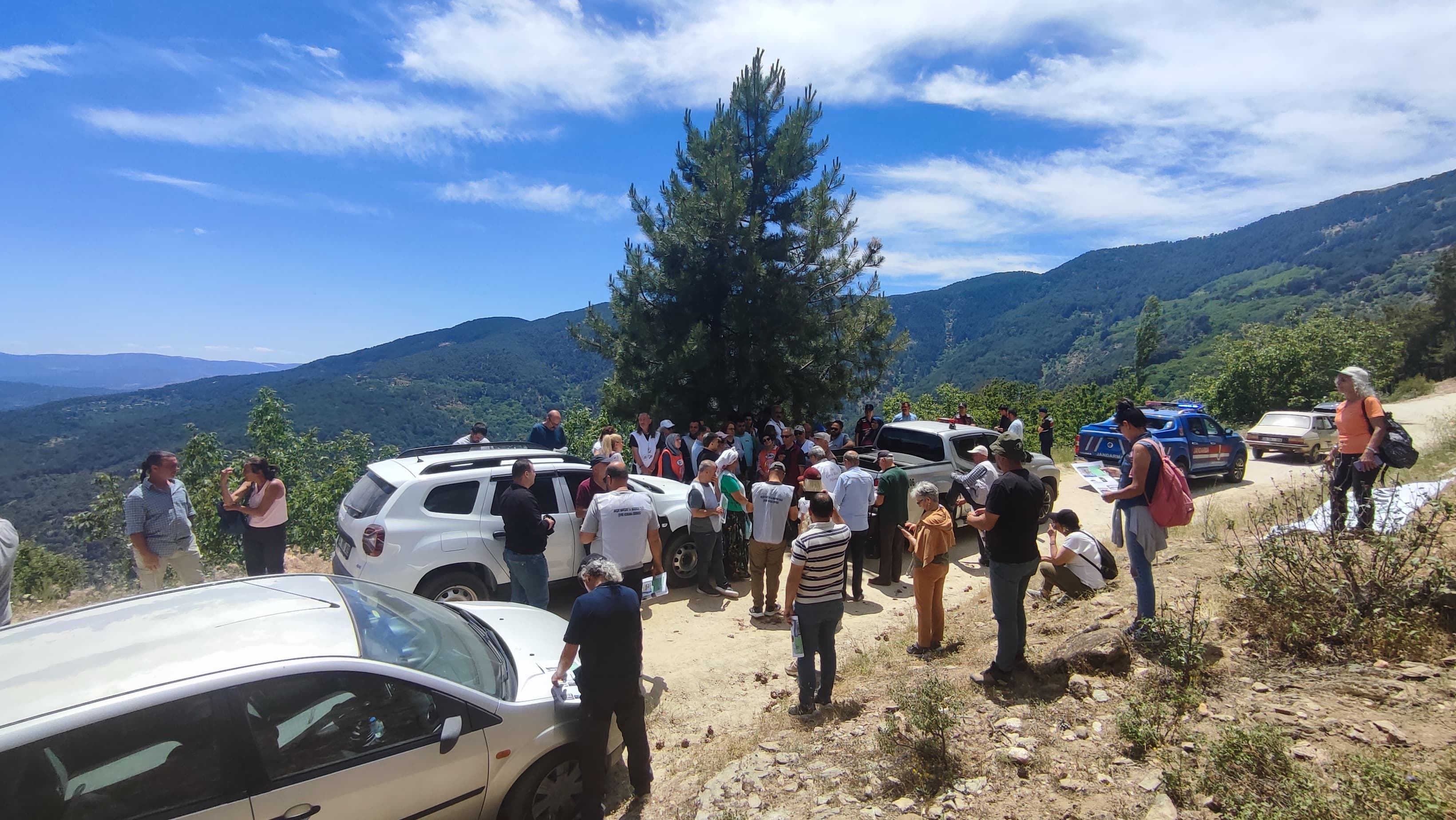 E85C4142 4Bed 4C23 Ac73 12077Df6Bf57