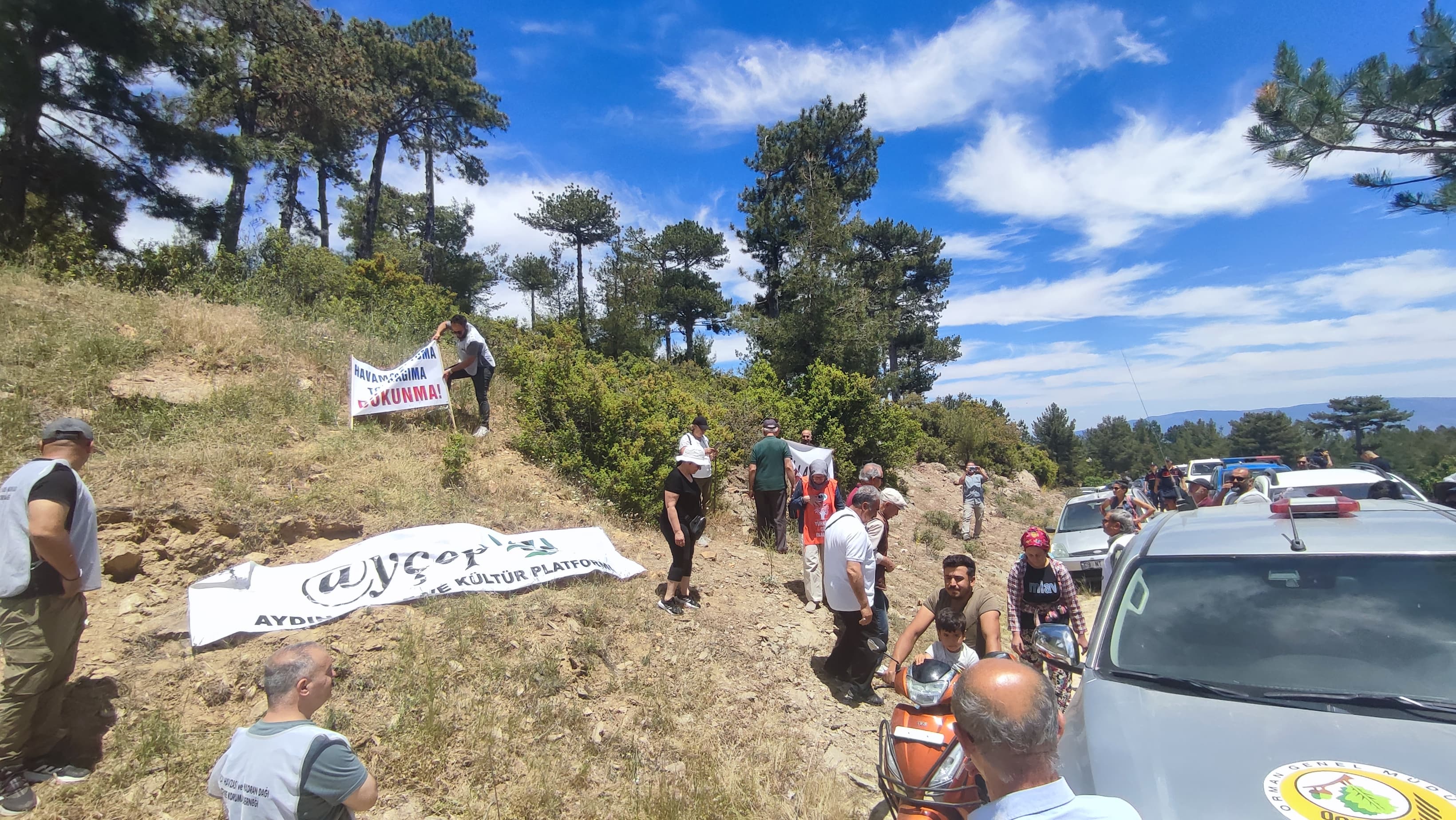 Ef06Bfd5 0503 4859 80E5 5Ef95Ea4C859