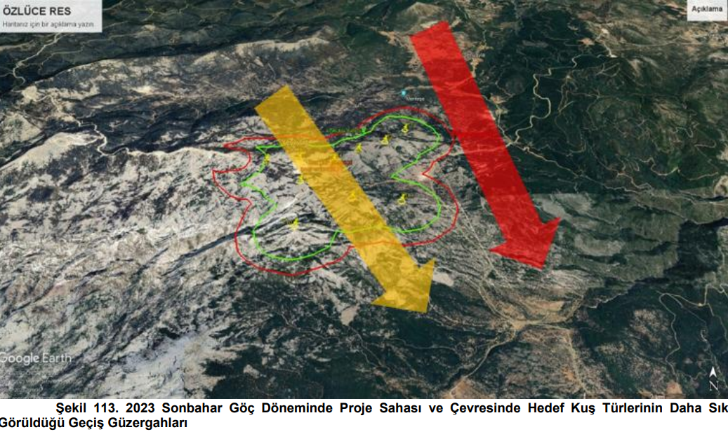 Ekran Görüntüsü 2025 05 22 092737