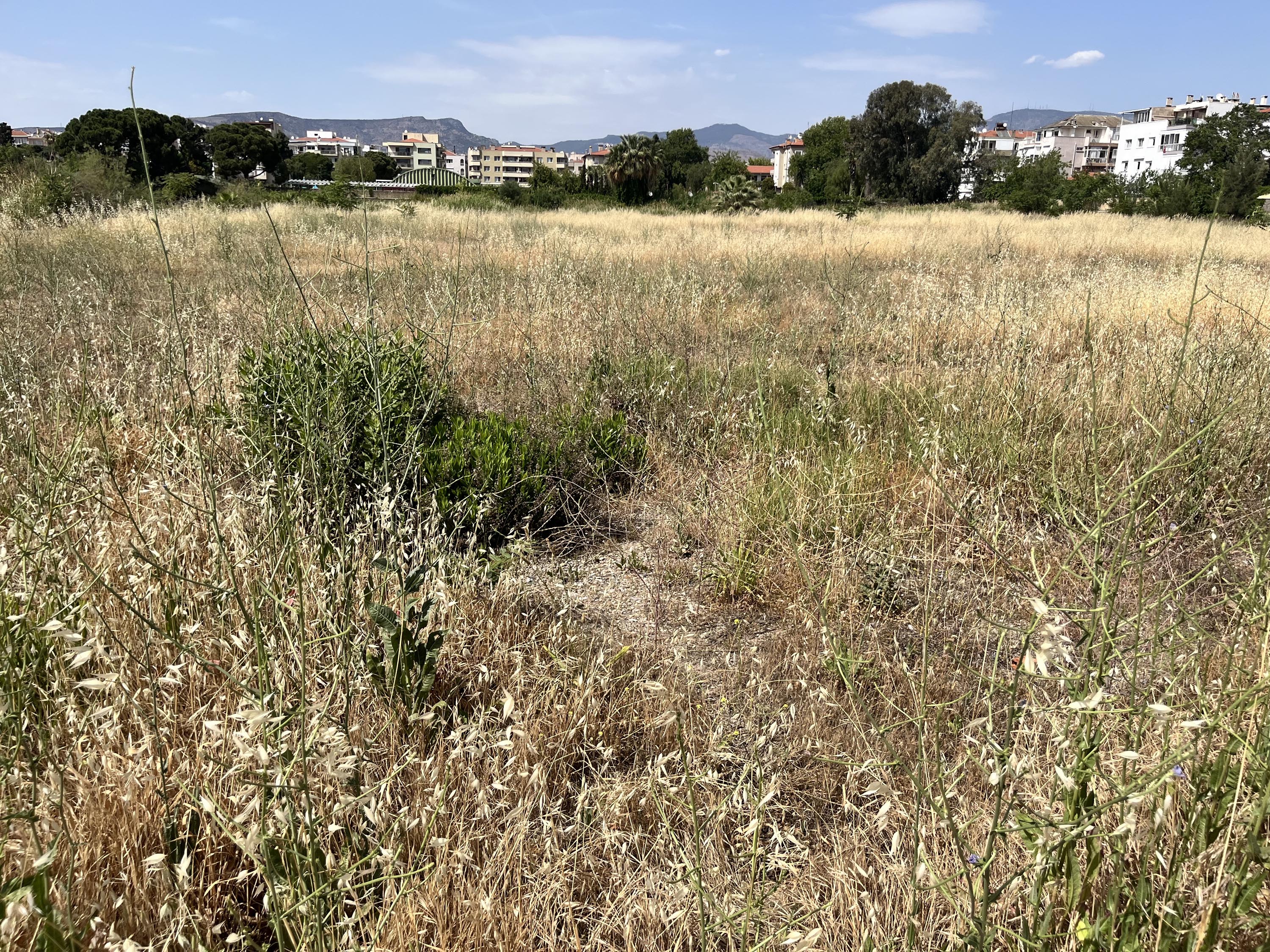 K A R S I Y A K A N I N S T A T I S Y A N I 727829 215086