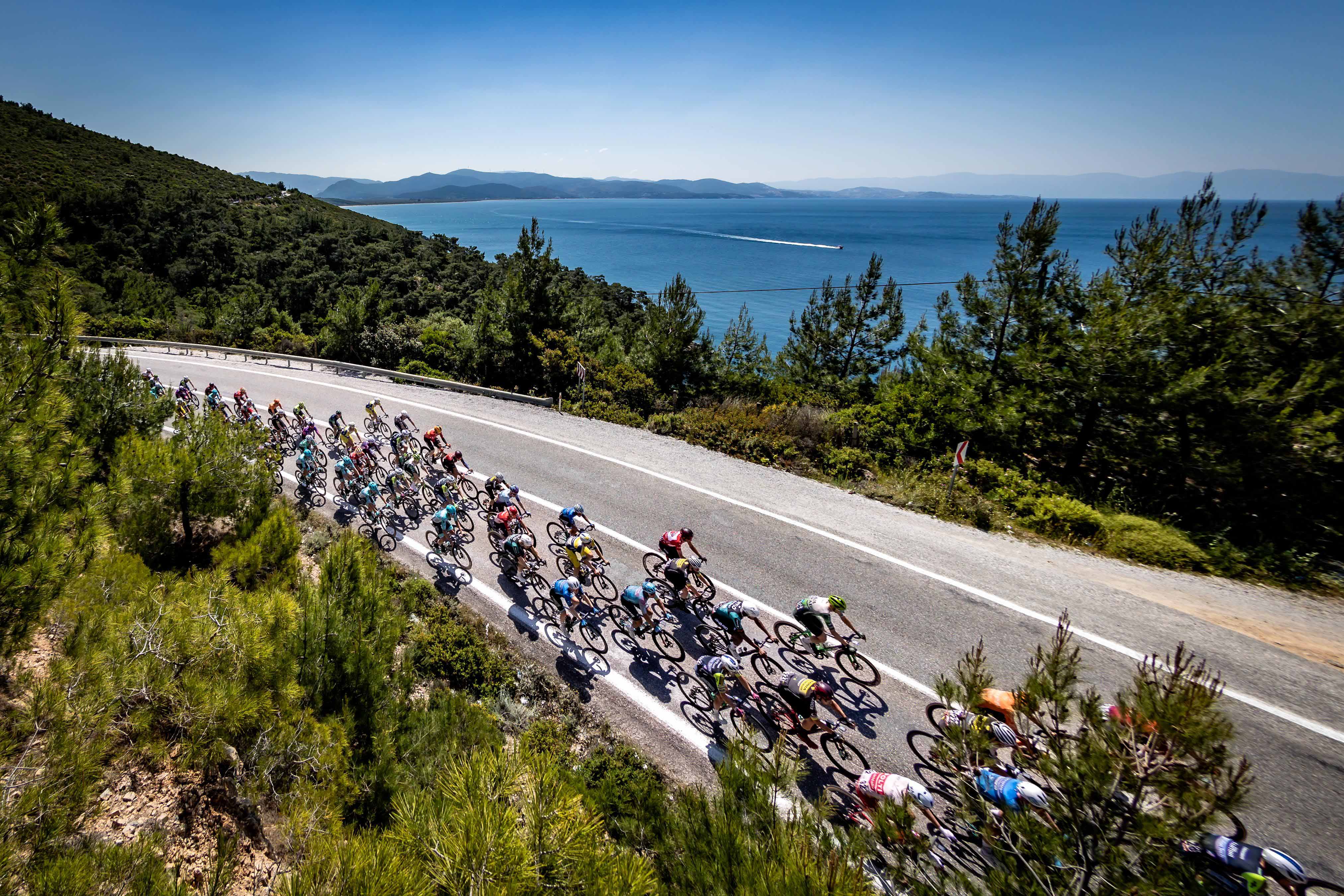 T U R U N S E L C U K C E S M E E T A B I N I E L I A V I V I A N I 692524 205121