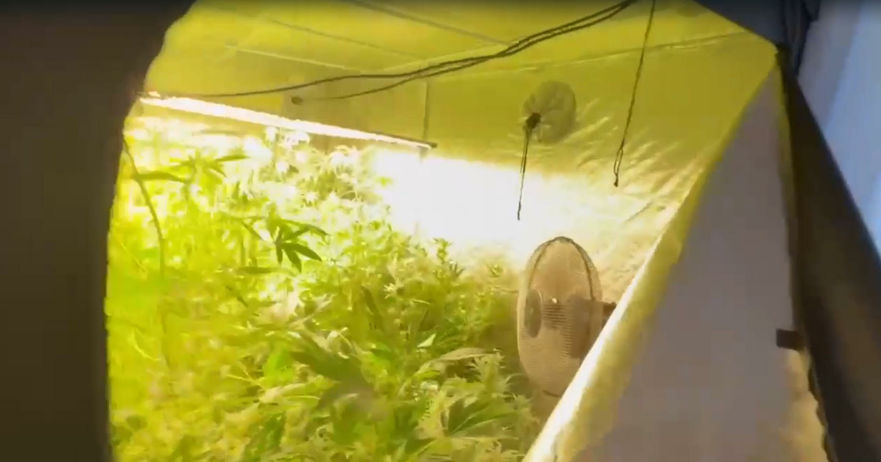 V I L L A D A K U R D U G U S E R A D A H I N T K E N E V I R I Y E T 726023 214574