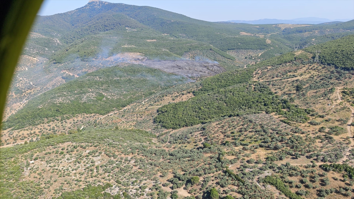 A A 20250625 38385306 38385305 I Z M I R I N T O R B A L I I L C E S I N D E C I K A N O R M A N Y A N G I N I N A M U D A H A L E E D I L I Y O R