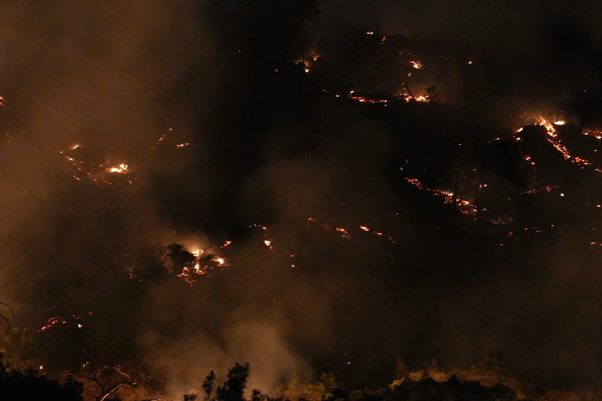 A A 20250625 38389221 38389215 I Z M I R I N A L I A G A I L C E S I N D E C I K A N O R M A N Y A N G I N I N A M U D A H A L E S U R U Y O R