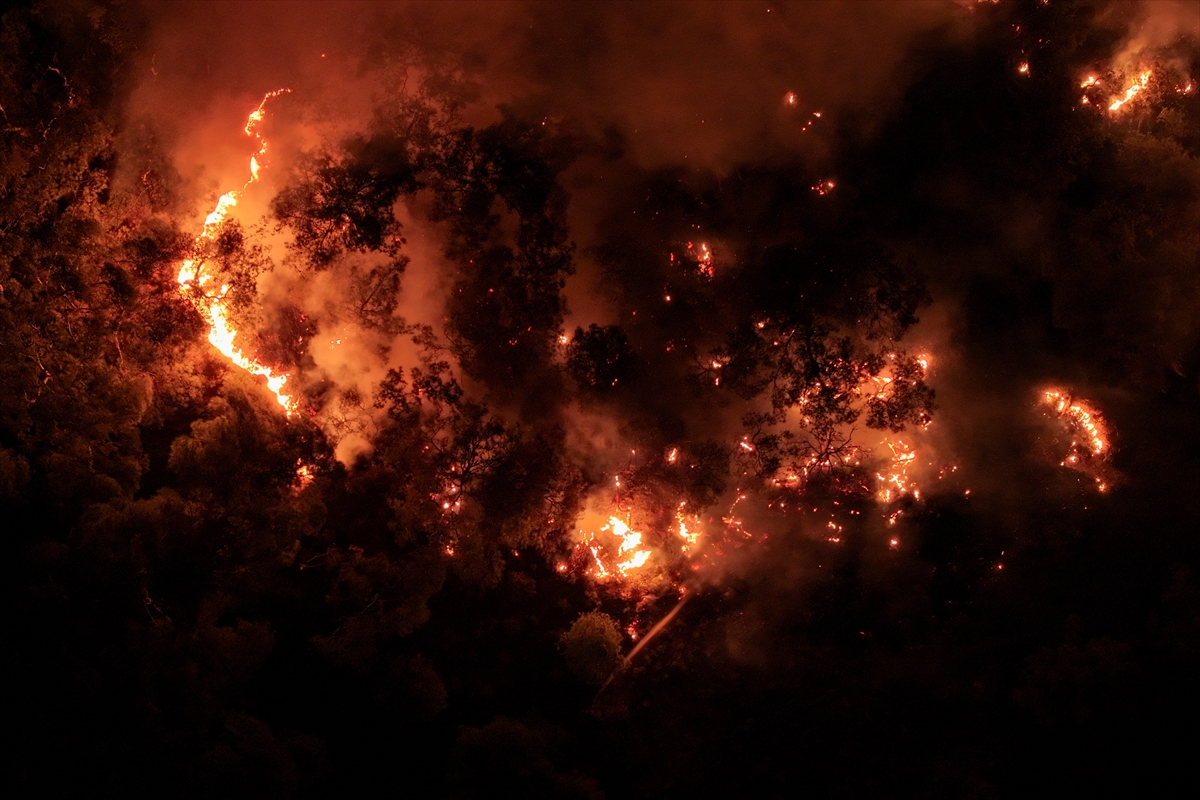 Aliağa ve Foça’daki yangın kontrol altına alındı