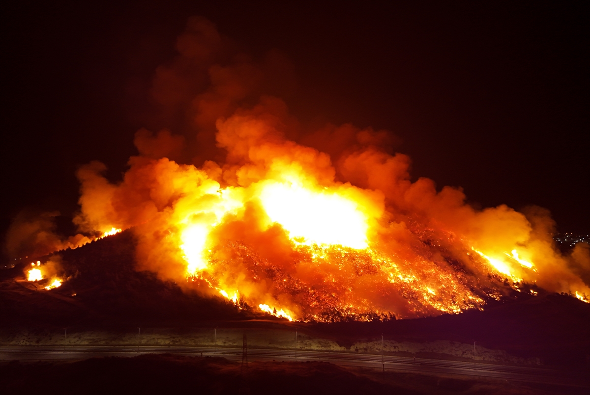 A A 20250626 38399154 38399152 I Z M I R I N A L I A G A I L C E S I N D E C I K A N O R M A N Y A N G I N I N A M U D A H A L E S U R U Y O R